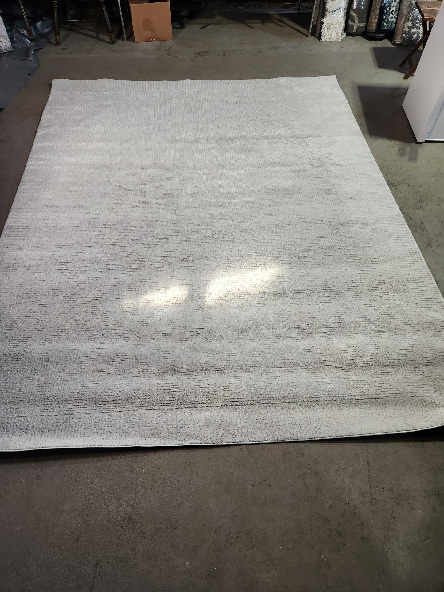 Nourison Arctic 8x10 Rug
