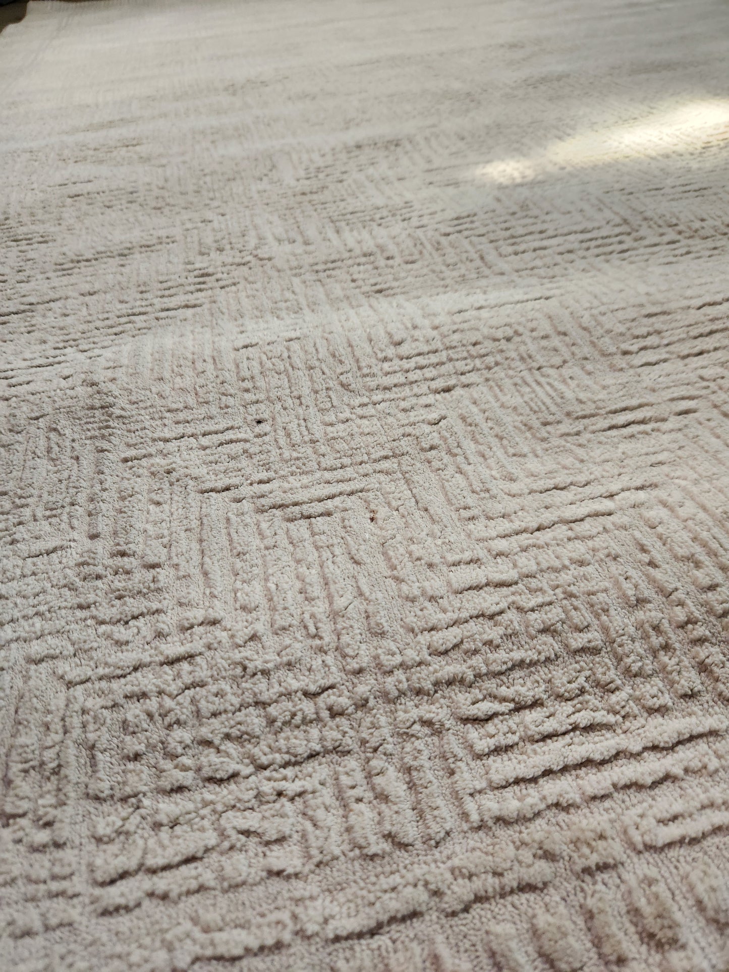 Nourison Arctic 8x10 Rug