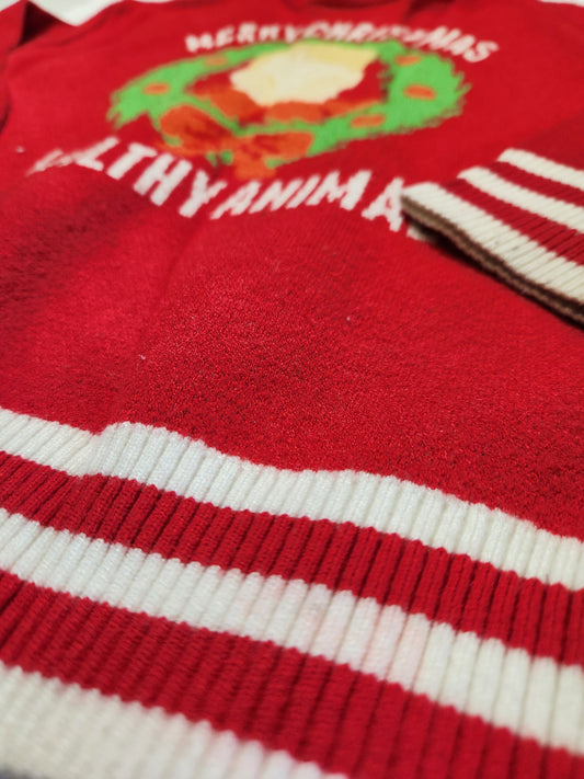 🎄 "Merry Christmas Ya Filthy Animal" Kids' Ugly Christmas Sweater - Home Alone Vibe!